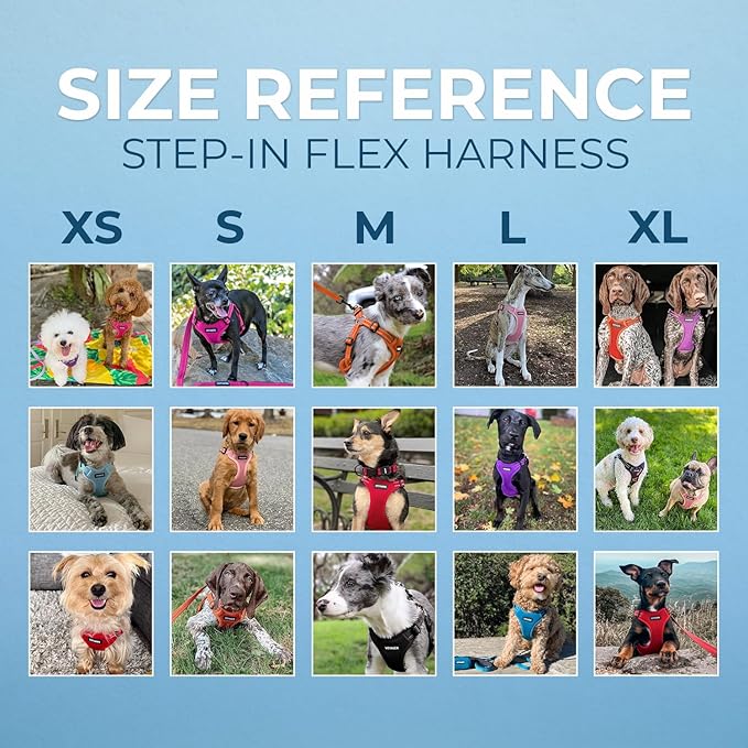 Best Pet Supplies Voyager Mesh Dog Breathable Harness Reflective Stitching, All Weather Adjustable for Walking Training, or Running - Heavy Duty & Durable, Harness Leash Set (Baby Blue), S