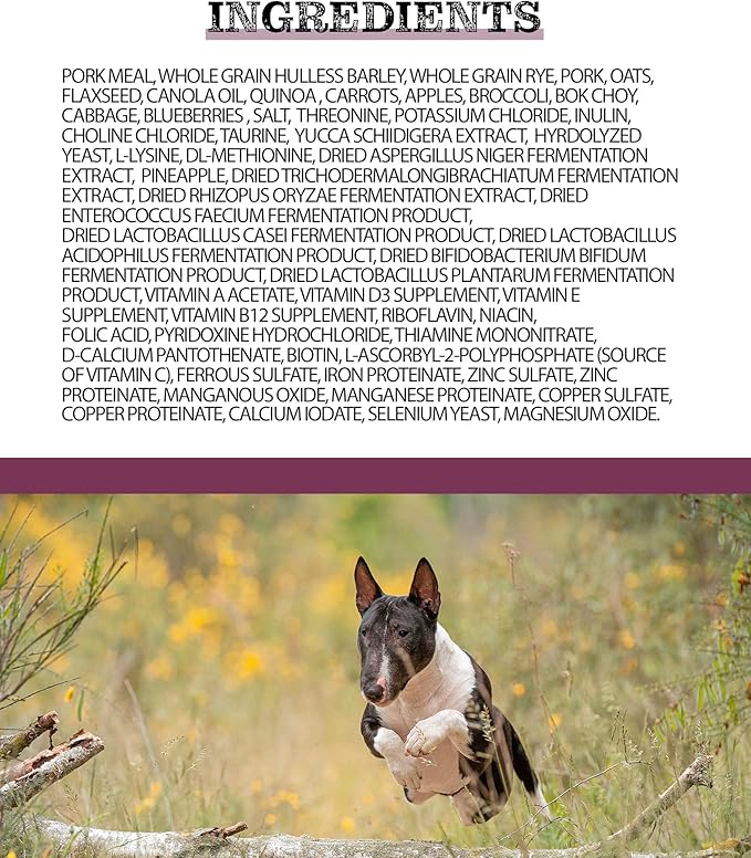 Pulsar Premium Whole Grain Dog Food | Pork Formula | All Life Stage, Non GMO, Meat Dense Diet | 8.8 lb Bag
