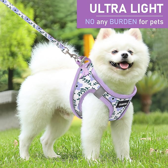 GAMUDA Small Dog Harness Collar and Leash Set, Step in No Chock No Pull Soft Mesh Adjustable Dog Vest Harnesses Plaid Reflective for Dogs Puppy Cats Kitten Rabbit (Purple Flower, M)