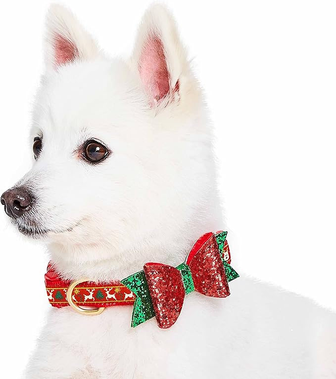 Blueberry Pet Christmas Dog Collar with Bow, Medium, Adjustable Holiday Collar for Medium & Small Dogs, Award-Winning Brand, Fits 14.5"-20" Neck