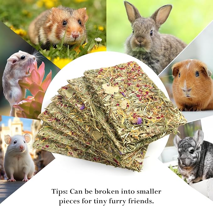 Abizoo Rabbit & Guinea Pig Treats 8 Pack Large Timothy Hay Bunny Chew Toys with Herbal Flowers Timothy Hay Forage Mix for Rabbits Guinea Pig Chinchillas Hamster Gerbils Rats Small Animals Teeth Care