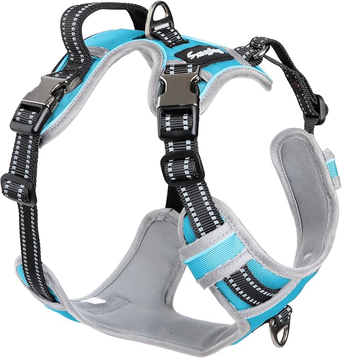 Step in Dog Harness for Medium Dogs, Sky Blue, Adjustable, Easy On Off, No Pull Through Design, 2 Dog Leash Points, 3M Reflective Trim, Neoprene Padded Control Handle