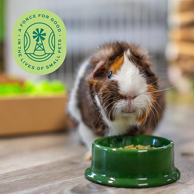 Oxbow Essentials Guinea Pig Food, Adult Guinea Pig, Made with Oxbow Timothy Hay, Pet Food Pellets with Vitamin C, Small Animal Pet Products, Made in USA, High Fiber, 5 lb. bag