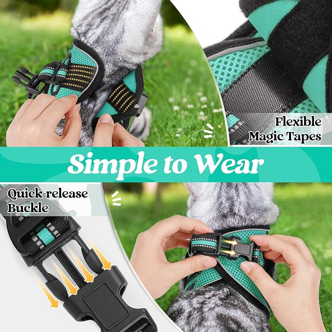rabbitgoo Cat Harness and Leash Set for Walking Escape Proof, Adjustable Soft Kittens Vest with Reflective Strip for Cats, Comfortable Outdoor Vest,Green,M