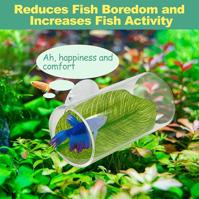 Hamiledyi 2 Pcs Betta Fish Acrylic Tube Tunnel Betta Fish Toys Betta Fish Tunnel Aquarium Hideouts for Rest Play Transparent Design for Better Observation of Fish Tank Decoration (Transparent)