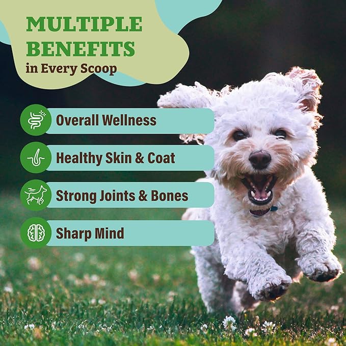 Natural Dog Company Super Greens Food Topper for Dogs, 8oz – Multivitamin & Superfood Powder – Immune, Digestive & Skin & Coat Support – No Fillers or Artificial Preservatives – All Life Stages