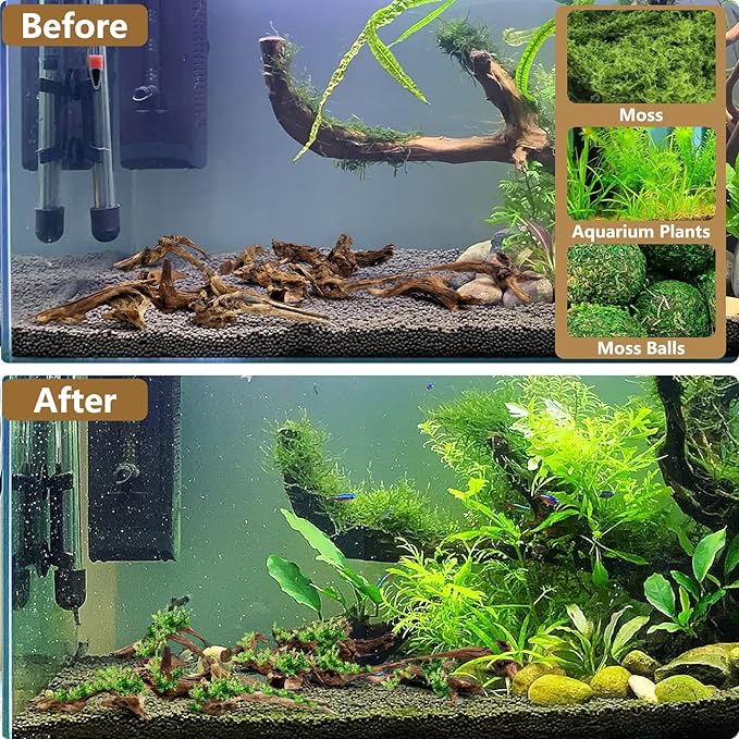 Tfwadmx Natural Small Coral Driftwood for Aquarium Decor 6 Pcs 4-6" Fish Tank Decorations Reptile Decor Assorted Driftwood Branch Reptile Tank Wood Decor
