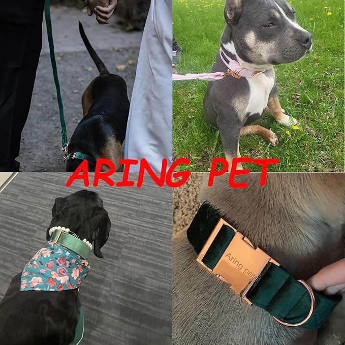 ARING PET Velvet Dog Collar and Leash Set, Bright Yellow Dog Collar and Leash, Adjustable Soft Collars for Dogs
