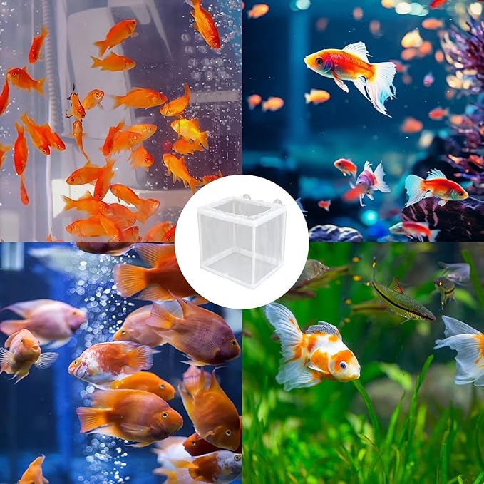 Fish Breeding Box - Aquarium Breeder Box, Mesh Box Fish Breeding Tanks | Fish Tank Breeding Isolation Box, Fish Fry Hatchery with Suction Cups, Juvenile Fish Separation Net for Fish clownfishh