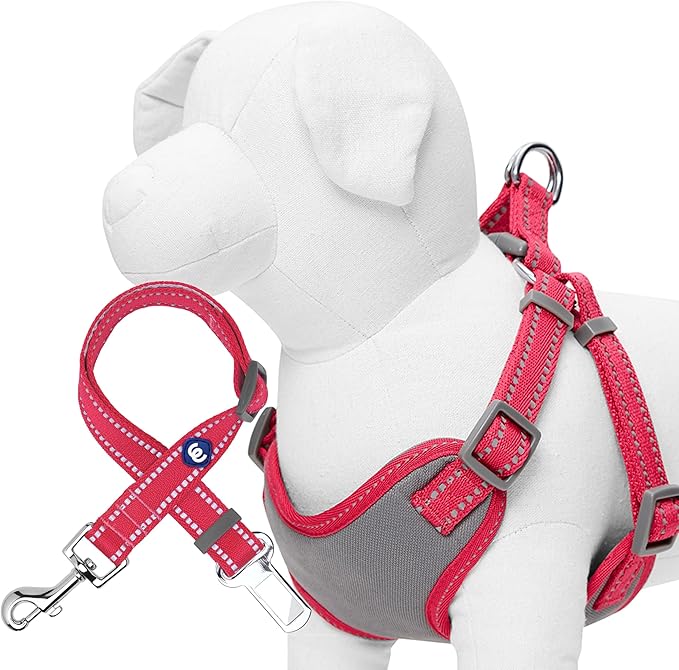 Blueberry Pet Pastel Colored Reflective Dog Harness with Seatbelt Clip – Adjustable No-Pull Pet Vest for Walking and Car Safety, Large Size in Very Berry