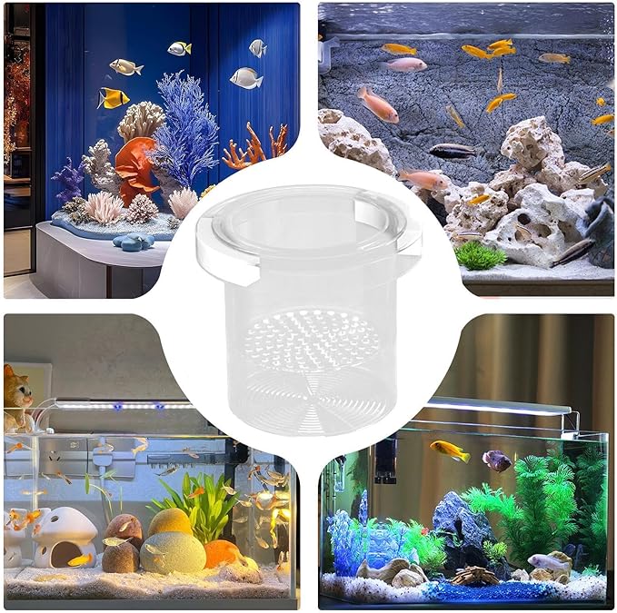 Fish Tank Breeder Box - Floating Aquarium Breeder Box, Fish Isolation Box | Fish Hatchery Box, Nursery Feeding Container Hatchery Incubator Divider for Betta Egg Fry Guppy Angelfish Acclimation
