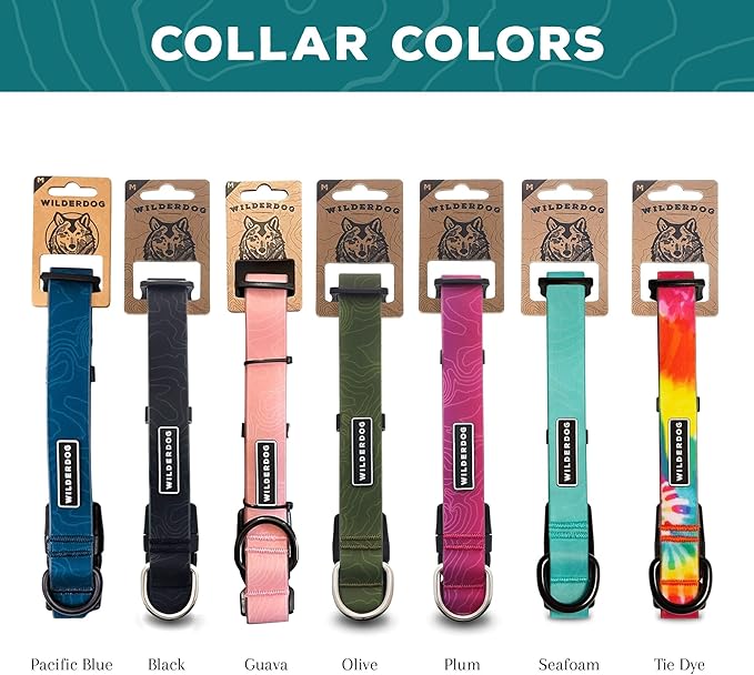 Wilderdog Waterproof Dog Collar - Repels Water & Dirt - Medium 13"-18" - Pacific Blue