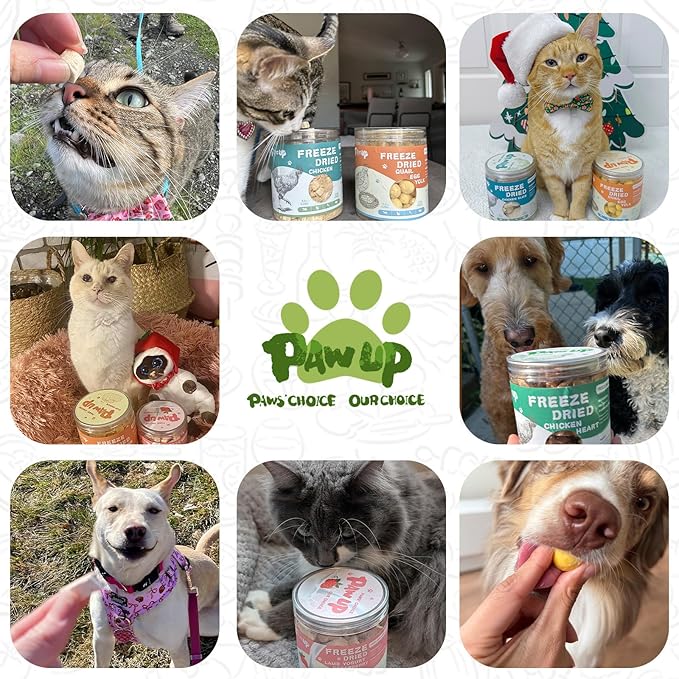 PAWUP Freeze Dried Chicken Liver Pet Treats, High Protein Freeze-Dried Pet Food for Dogs, Cats, Fresh Ingredient Snacks, 4.6 oz, Rawhide Free&Grain Free