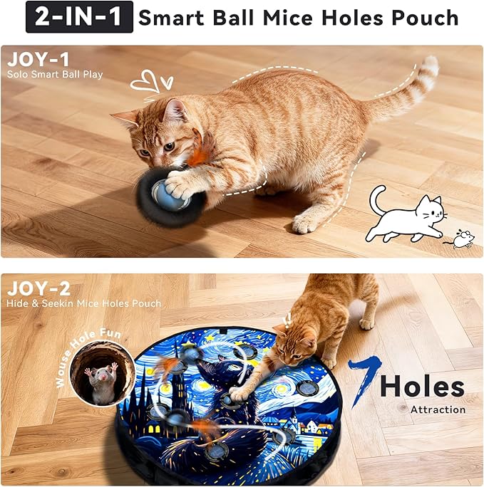 Interactive Cat Toy with Motion Activated Ball & 7-Hole Play Mat, Hide and Seek Exercise Game for Indoor Cats, Automatic Moving Cat Ball in Pouch, Rechargeable Kitten Toys