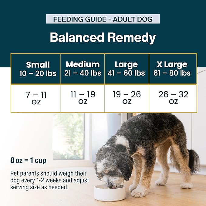 JustFoodForDogs Pantry Fresh Wet Dog Food, Complete Meal or Dog Food Topper, for Sensitive Stomachs, Balanced Remedy Human Grade Dog Food Recipe - 12.5 oz (Pack of 12)
