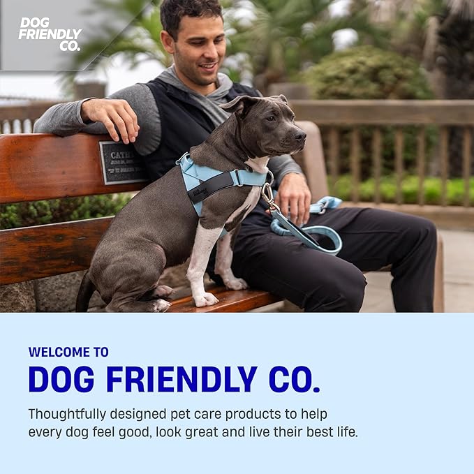 DF Co. Dog Harness | Chafe Resistant Webbing, Adjustable Neck & Chest, and Heavy Duty D-Ring | Sturdy, Comfortable, Easy to Use | Neon Green, Size L