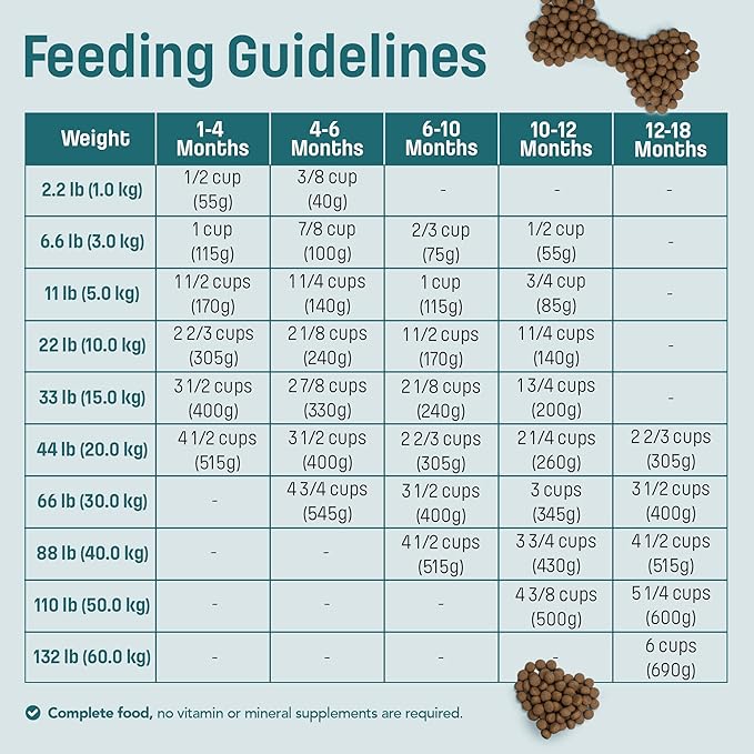 I14 Puppy Dog Food with Lamb & Brown Rice - Skin, Coat & Sensitive Stomach Dog Food with Pumpkin, Omega-3 Rich Salmon Oil & Flaxseed for Shiny Coat & Immunity - Chicken Free Puppy Food (4.4 lb)