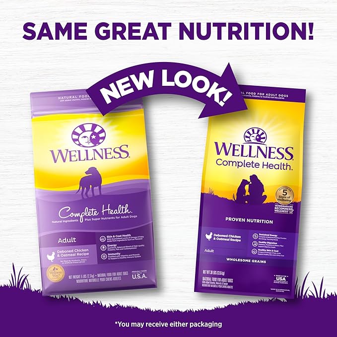 Wellness Complete Health Dry Dog Food with Grains, Made in USA with Real Meat & Natural Ingredients, All Breeds, Adult Dogs (Chicken & Oatmeal, 30-lb) – With Nutrients for Immune, Skin, & Coat Support