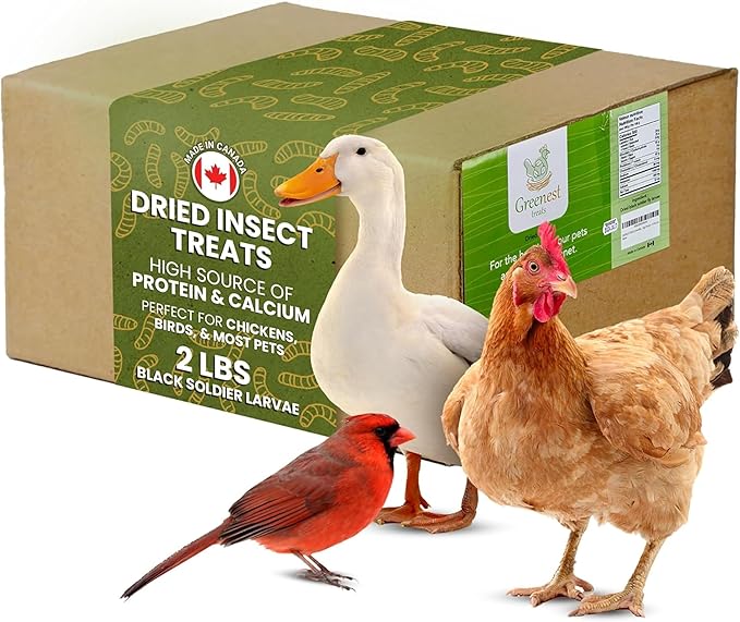 Dried Black Soldier Fly Larvae for Chickens & Ducks – Treats for Ducks, Hens, Wild Birds, Lizards, Tortoises & Fish – All Natural High Protein & Calcium – Mealworms Alternative – Made in North America