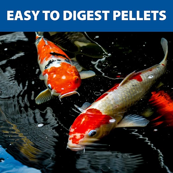 The Pond Guy Staple Fish Food for Backyard Koi & Goldfish, Choice Floating Pellets for Fish Wellness & Health, Smart Nutrition for Clean Ponds, 40 lbs