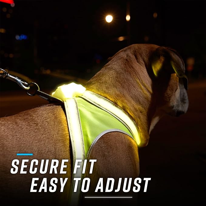 Noxgear LightHound (Medium) + High-Visibility Dog Leash – Illuminated and Reflective Harness for Dogs Including Multicolored LED Fiber Optics (USB Rechargeable, Adjustable, Lightweight, Rainproof)