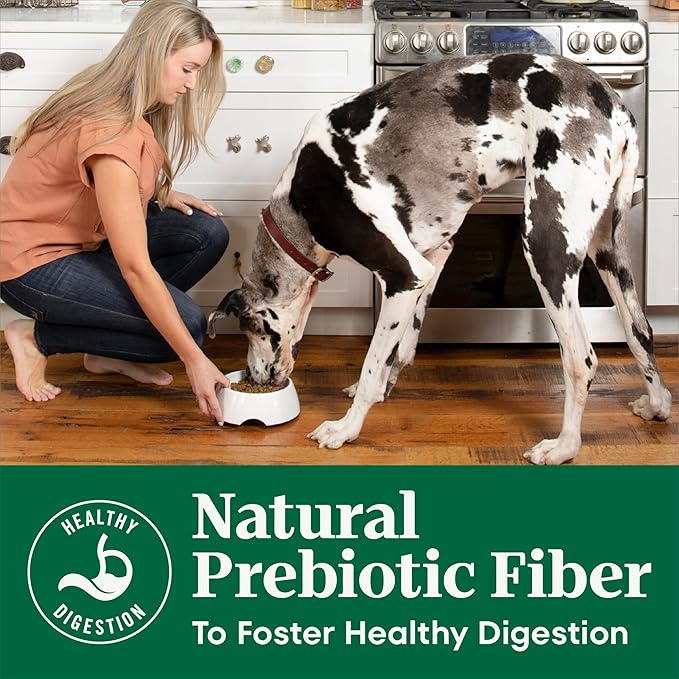 Nutro Natural Choice Adult Large Breed Dog Food Dry, Chicken & Brown Rice Recipe, 13 lb. Bag