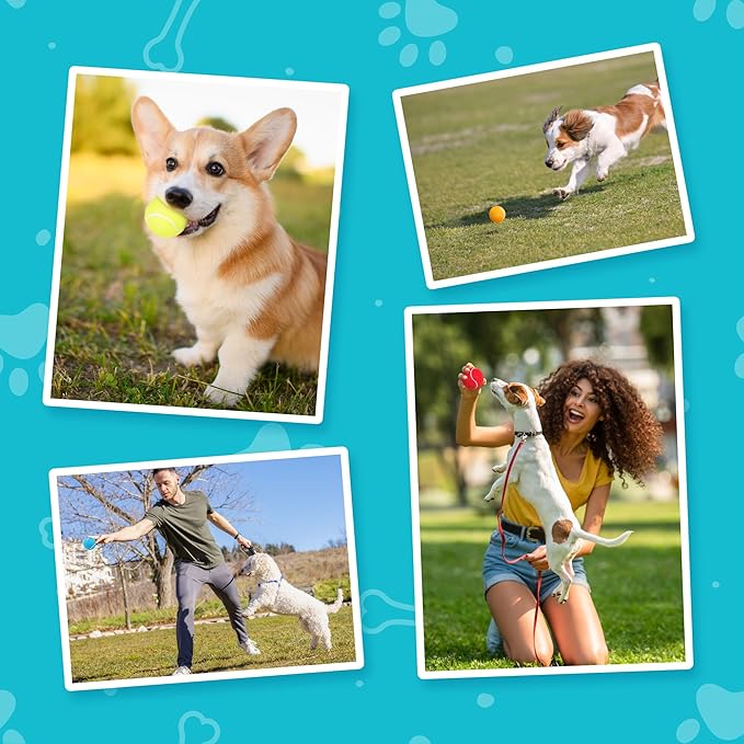 Prime Pets Tennis Balls for Dogs, 12 Pack 2.5” Durable Squeaky Dog Balls with High Bounce for Outdoor Play, Interactive Fetch & Training Dog Toys for Small and Medium Breeds