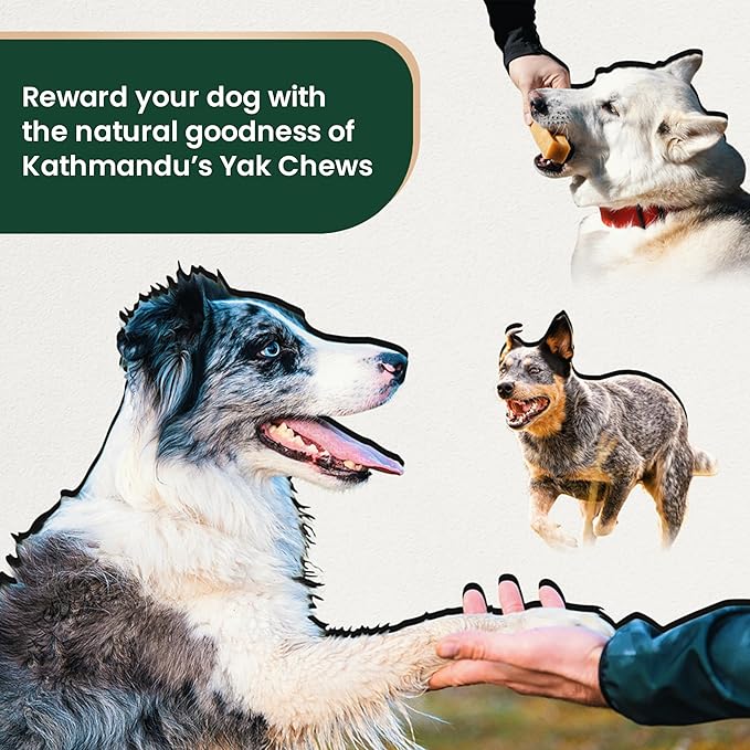 KATHMANDU'S - 100% Natural Himalayan Cheese Dog Chews - for Small Dogs (Pack of 15) - for Improved Dental Hygiene & Protein-Rich Nutrition, No Preservatives