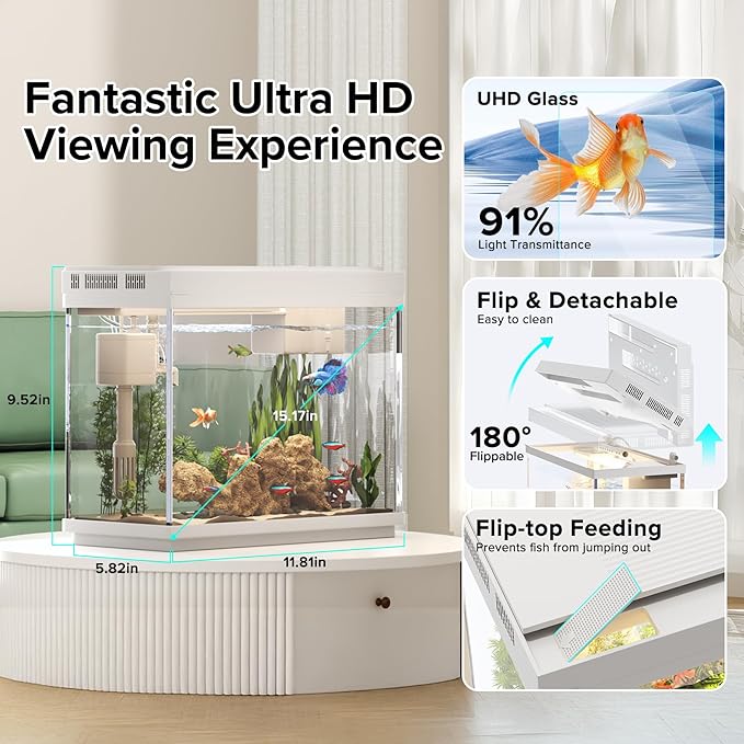 Fish Tank 2.4 Gallon Aquarium Kit with Humidifier 7-Color Auto-Looping 3 in 1 Quiet Pump with Filteration & Oxygenation & Circulation, Temperature Display, HD Glass