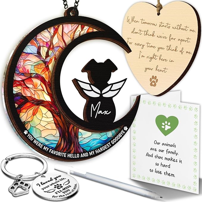 6" DIY Dog Angel Memorial Suncatcher, Engraved Pet Memorial Ornament, Pet Sympathy Keychain, Loss of Animal Sympathy Card, Rainbow Bridge Dog Loss Gift, My Favorite Hello Hardest Goodbye PS190