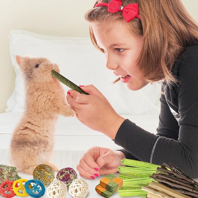 60pcs Bunny Chew Toys for Rabbits Teeth, Natural Rabbit Toys Apple Wood Sticks, Carrot, Timothy Grass Treats for Small Pets, Hamster, Chinchilla, Guinea Pig