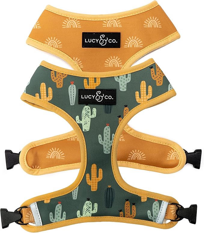 Lucy & Co. Looking Sharp, Cute Reversible Dog Harness Walking Halter - Best Designer Pet Harnesses for Medium Dogs - Padded Adjustable Vest for Easy Walking (Small)