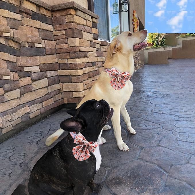 Unique style paws Dog Collar with Tie Adjustable Pink Bowtie Puppy Collars for Small Medium Large Dogs and Cats-M