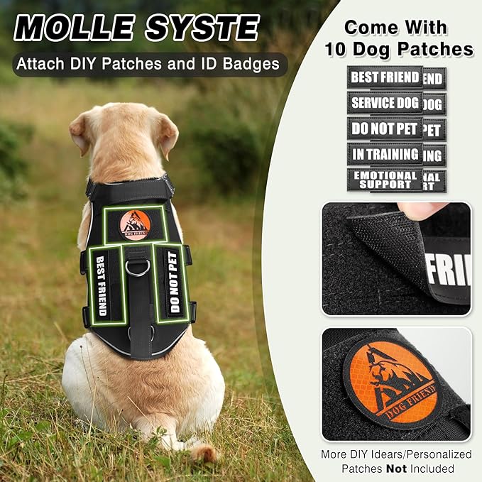 Tactical Service Dog Vest and Leash Set,Heavy Duty Harness with Metal Buckles for Large Dogs,Adjustable No Pull Pet Vest with 10 Patches,for Training Working Hiking,Black XL
