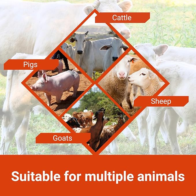 Orange Power Nutrient Supplement for Show Cattle, Sheep, Goats and Pigs - Appetite Stimulant & Performance Booster - Liquid Formula with B12 & Phosphorus (1 Gallon)