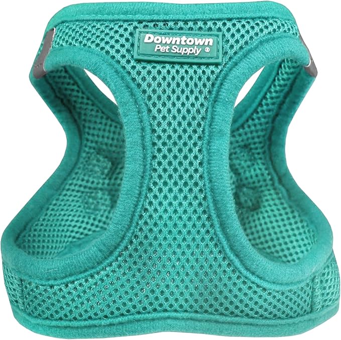 Downtown Pet Supply Step-in Dog Harness – No Pull, Adjustable Padded Mesh with Reflective Trim, Secure Buckle Strap – Comfortable & Breathable Small Dog Harness, Small, Bermuda Blue