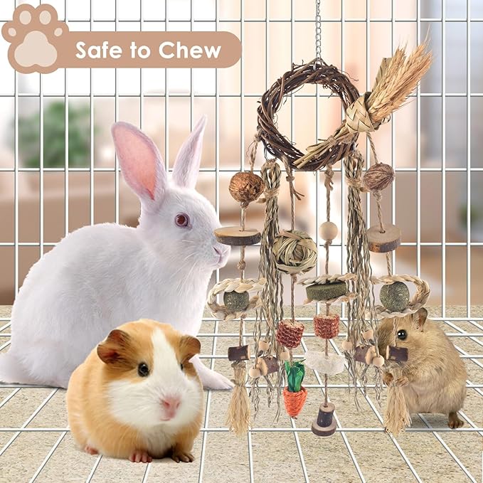 Bissap Bunny Chew Toy, Rabbit Cage Hanging Chewing Toy Treat Christmas Grapevine Wreaths Rattan Ring with Snack Water Grass for Guinea Pig Chinchilla Hamster Rat and Other Small Pet Teeth Grinding