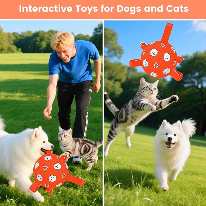 Dog Soccer Ball, Durable Dog Soccer Ball with Straps, Outdoor Puppy Toys for Small Medium Dogs, 6 Inch
