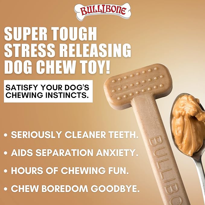 Bullibone Nylon Dog Chew Toy for Aggressive Chewers - Dental Hygiene Bone with Peanut Butter Flavor, Durable Tough Chew Toys for Large Dogs, Indestructible Dog Bone - Single