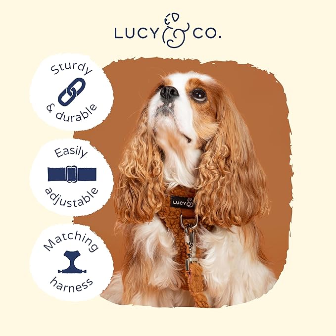 Lucy & Co. The Cinnamon Teddy Collar - Durable Lightweight Designer Collar for Pets - Adjustable Metal Safety Buckle - Small - Teddy Brown