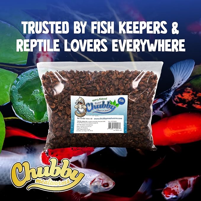 Chubby Dried Silkworm Pupae | 11?lbs | High-Protein Treat for Koi, Fish, Reptiles & Terrapins – Nutrient-Rich Calcium Snack
