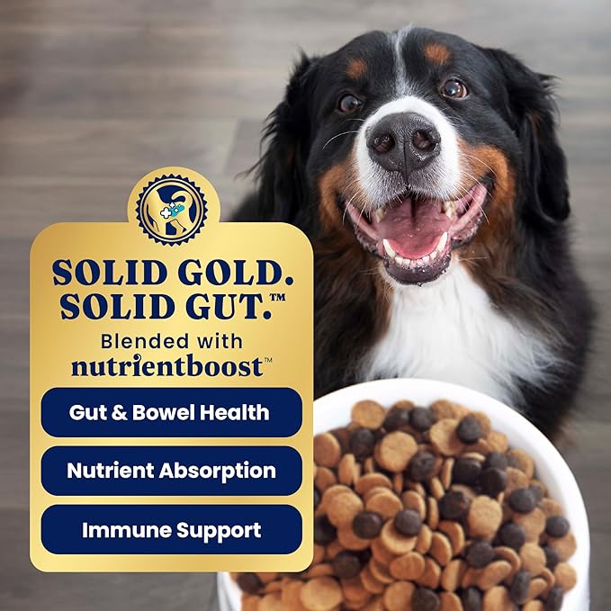 Solid Gold Dry Dog Food for Sensitive Stomachs - Grain Free & Gluten Free w/Venison, Pumpkin & Probiotics for Gut Health & Digestion - Sensitive Stomach Dog Food for All Ages - Nutrientboost –3.75LB