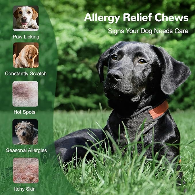 Dog Allergy Chews, Dog Itch Relief Chews for Paw Licking Itchy Skin Seasonal Allergies, Probiotics with Omega-3 Turmeric Astragalus for Large Dogs Coat Immune Supplement-150ct