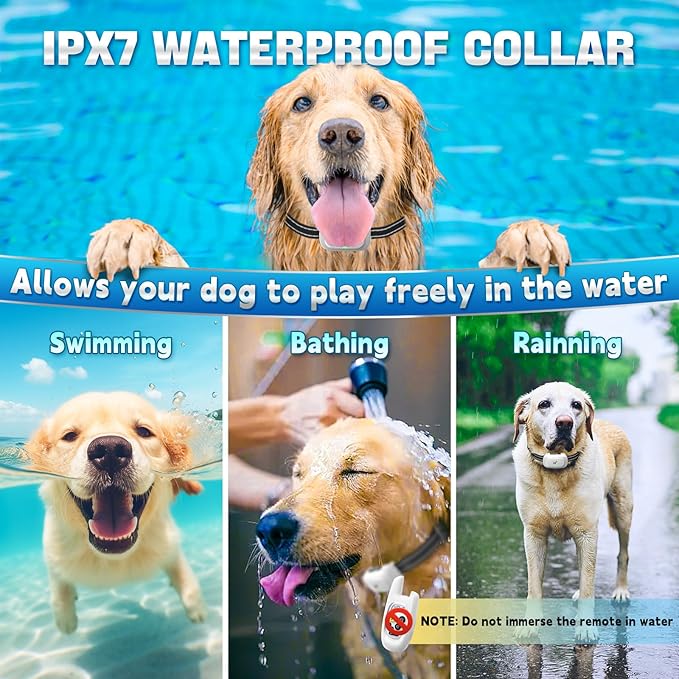 Dog Shock Collar with Remote - [2025 Newly Upgraded] Dog Training Collar for Small Medium Large Dogs, Rechargeable E Collars for Dogs Training, IPX7 Waterproof Electric Collar with Shock-Lock