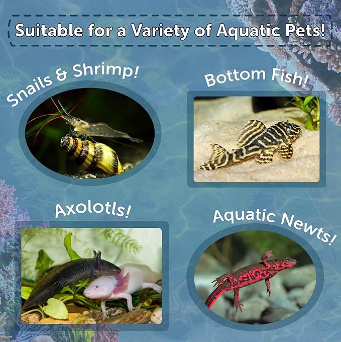 Aquatic Foods Inc. Axolotl Pellet Food 3/16" Soft Moist Sinking Pellets for Juvenile Axolotl Also Shrimp, Snails, Crayfish, Bottom Tropical Fish, Blackworm Pellets Included 6oz Canister