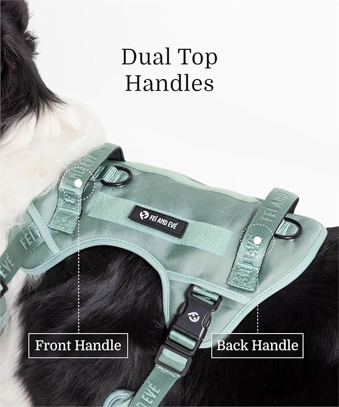 2025 New Edition, Fei & Eve Classic Dog Harness - Quick-Release Buckles | 3-Point No-Pull Control | Heavy-Duty 900D Nylon | Dual Safety Handles | Breathable Mesh | Adjustable Fit | Small,Green