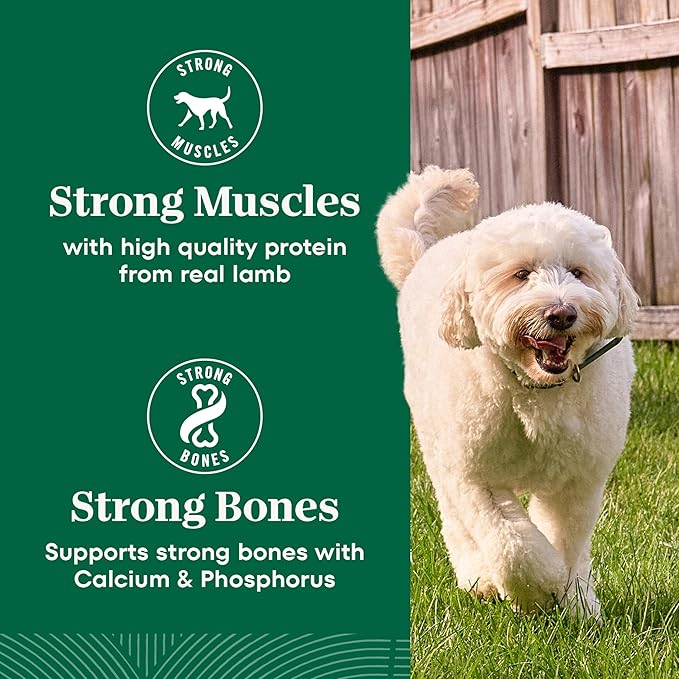 Nutro Natural Choice Senior Dog Food, Chicken & Brown Rice Recipe, 13 lb. Bag