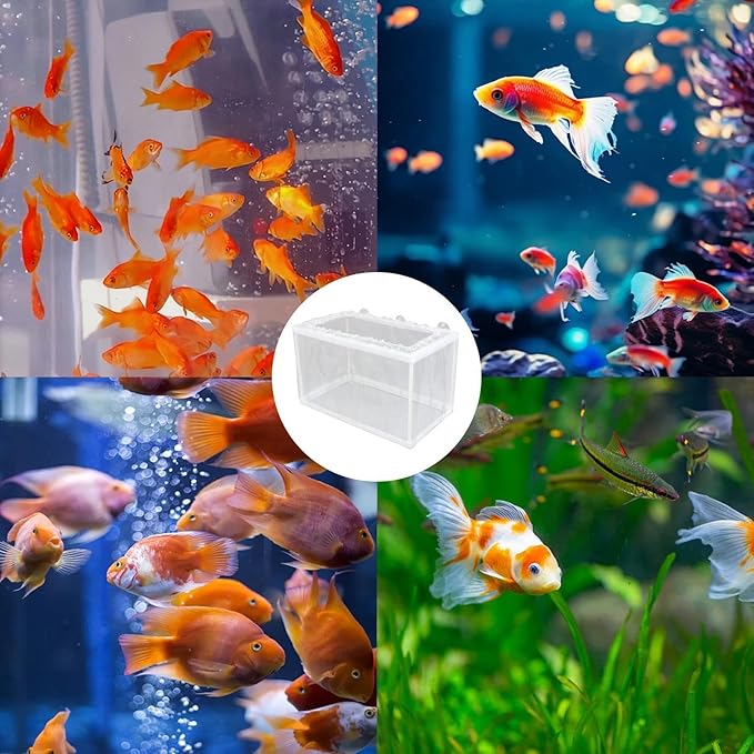 Aquarium Breeding Box - Mesh Box Fish Breeding Tanks, Aquarium Breeder Box, Fish Fry Hatchery, Juvenile Separation Net with Suction Cups, Nursery for Guppy Shrimp