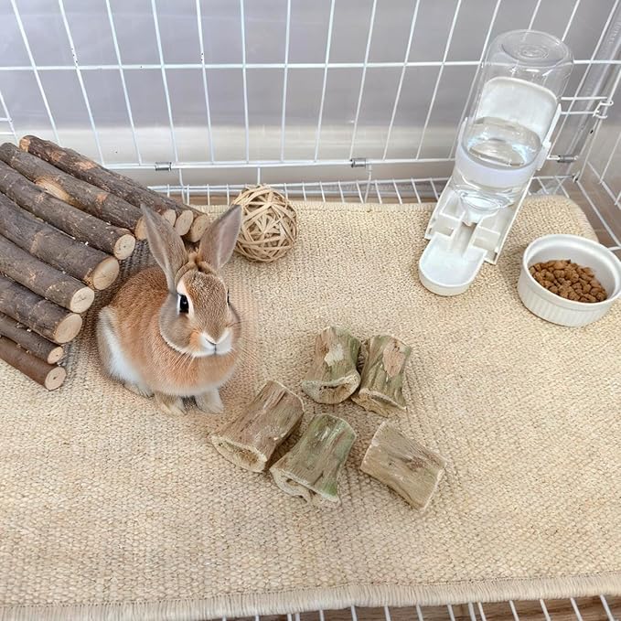 Rabbit Chew Toys Guinea Pig Treats Natural Papaya Wood Chew Sticks for Teeth Bunny Guinea Pig Hamster Chinchilla