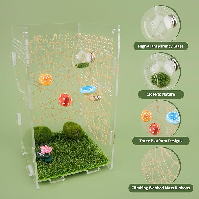 6pcs Jumping Spider Accessories Glass Ball Hide Habitat Mushroom Platform Spider Webbed Moss Ribbons Decorating Jumping Spiders Enclosure Accessories for Climbing Resting and Exploration